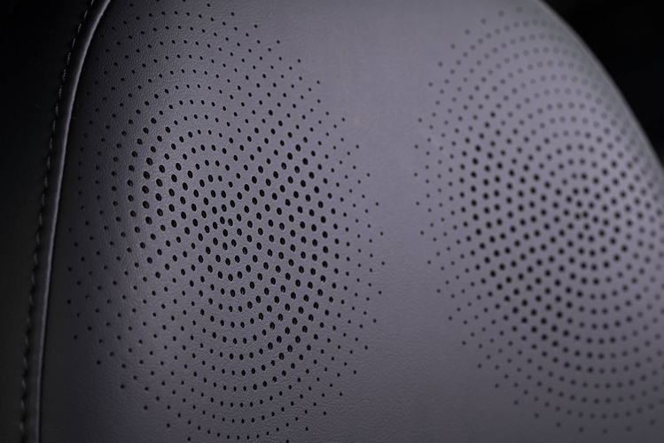 SONY 14 speaker audio system + Headrest Speakers